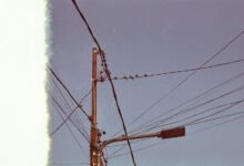 support line number provided