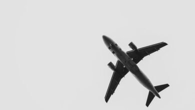 maximize paid media roi