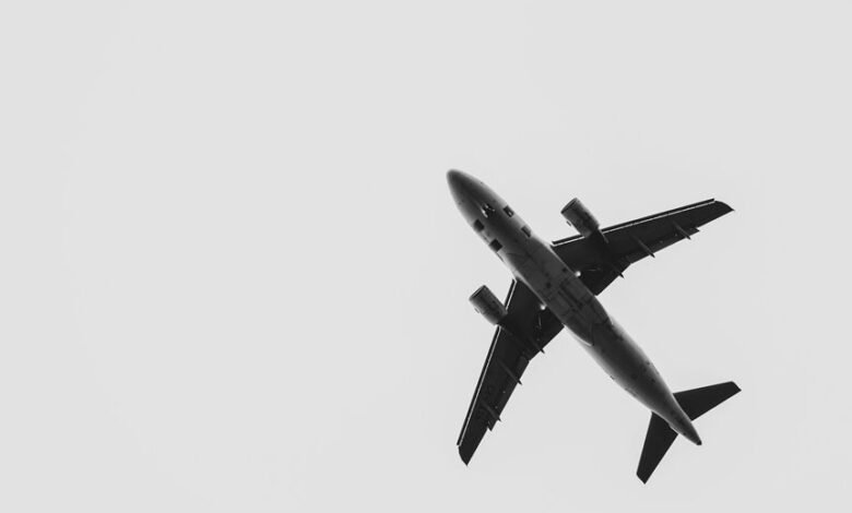 maximize paid media roi