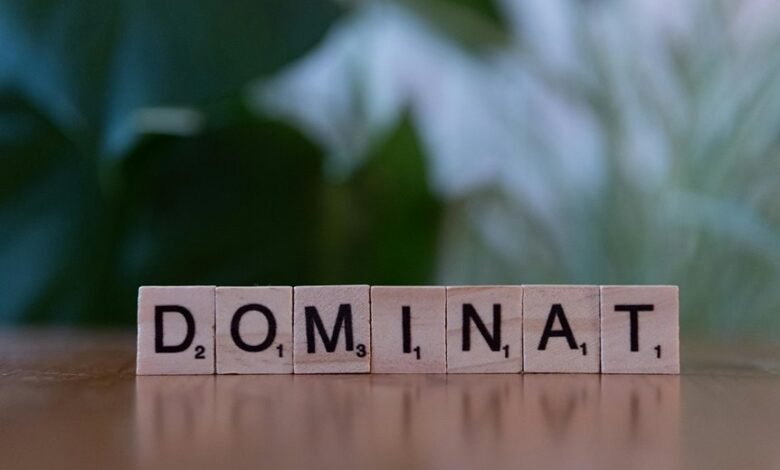 ranking mastery search authority