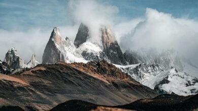 roi maximization through advertising